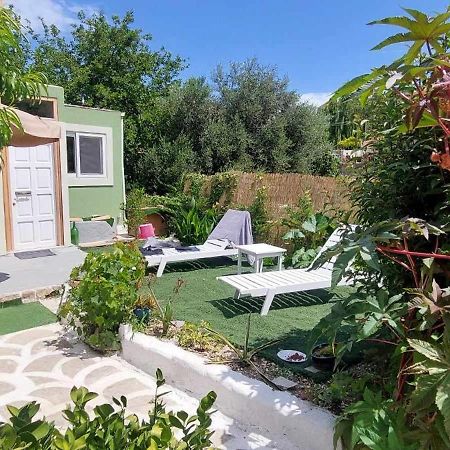 Afionas Das Gruene Haus Εξωτερικό φωτογραφία