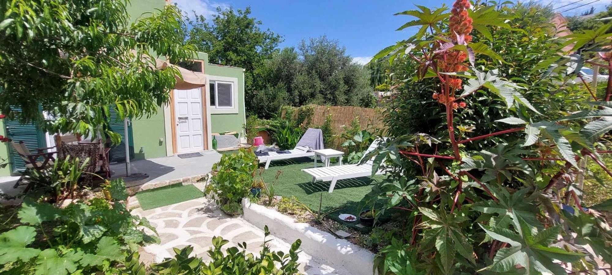 Afionas Das Gruene Haus Εξωτερικό φωτογραφία