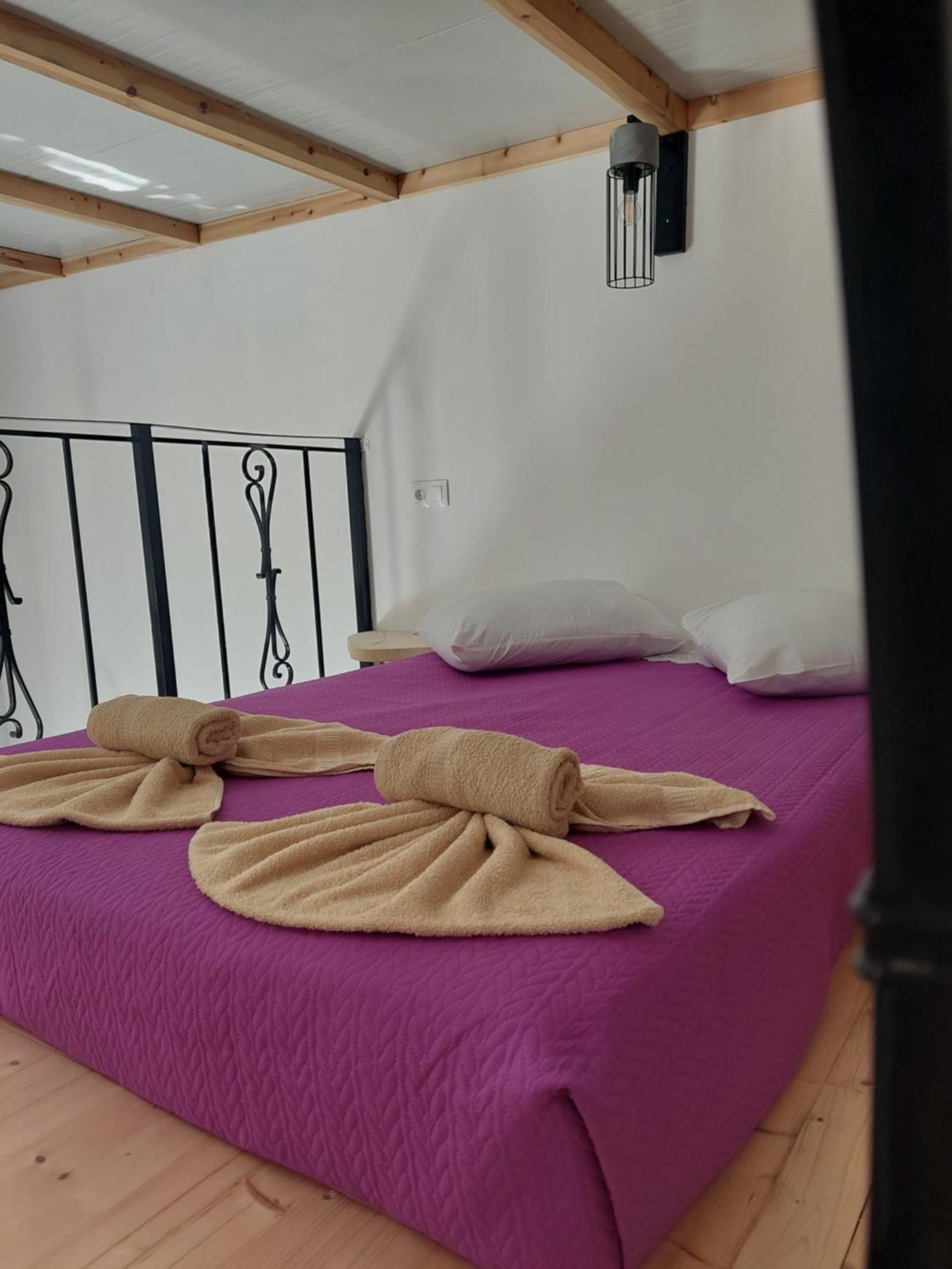 Afionas Das Gruene Haus Εξωτερικό φωτογραφία